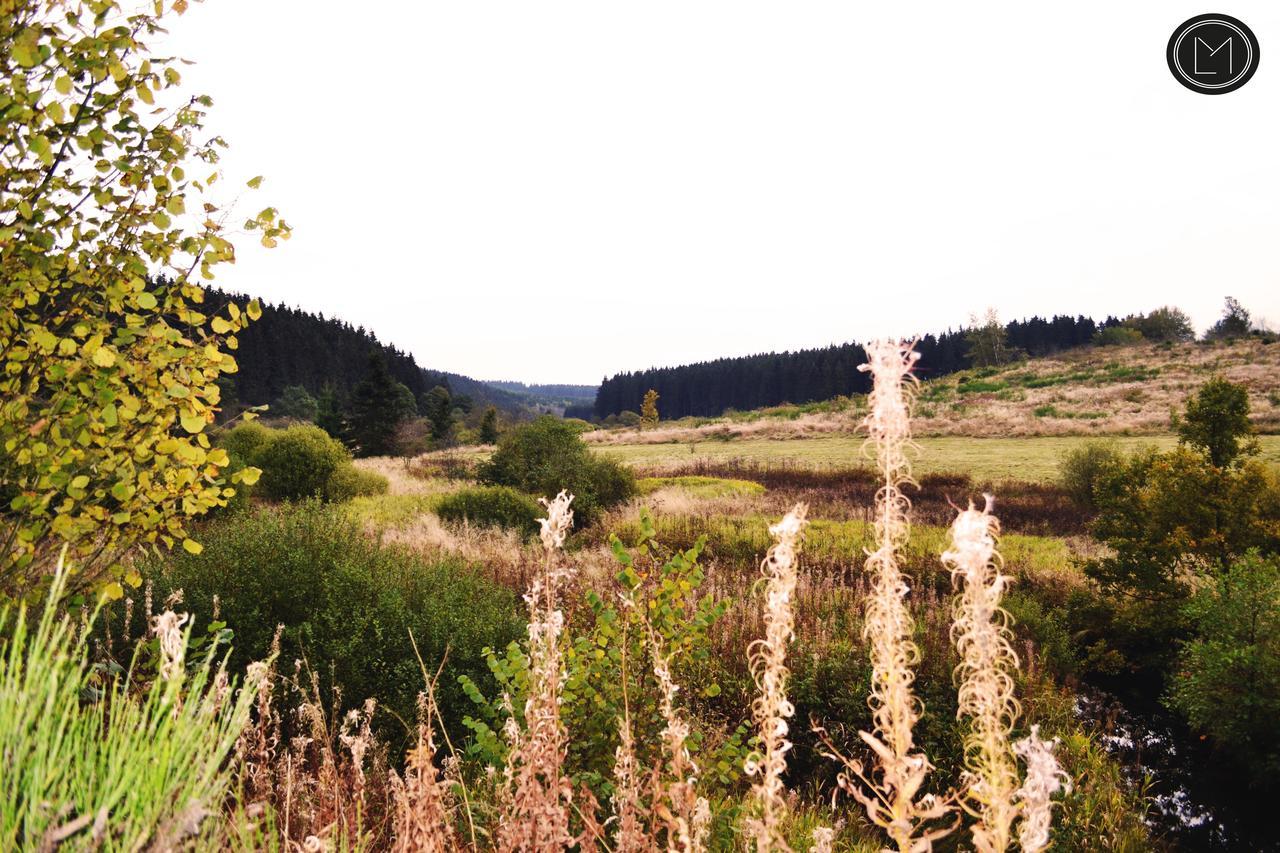 Chalet Le Forestier Bullange Bagian luar foto