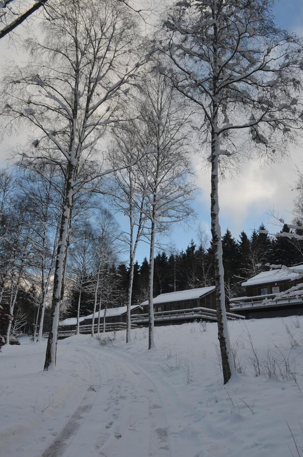 Chalet Le Forestier Bullange Bagian luar foto