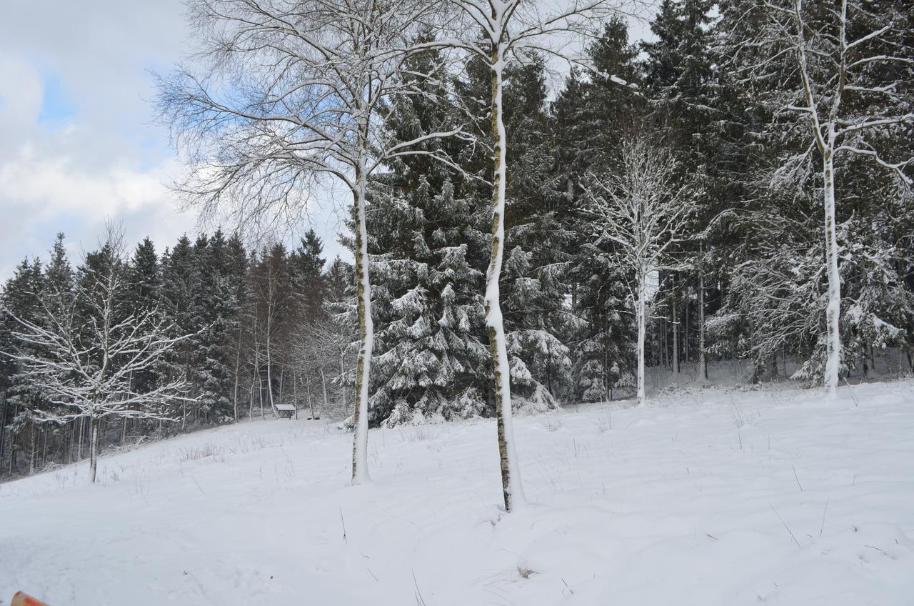 Chalet Le Forestier Bullange Bagian luar foto