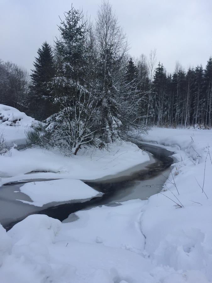 Chalet Le Forestier Bullange Bagian luar foto