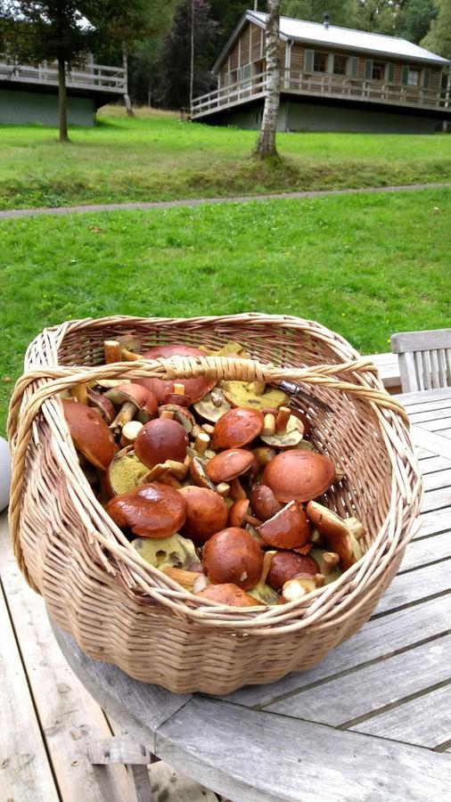 Chalet Le Forestier Bullange Bagian luar foto