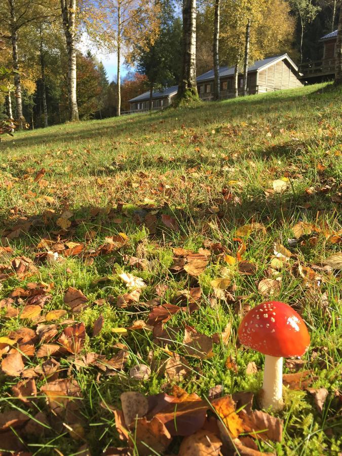 Chalet Le Forestier Bullange Bagian luar foto