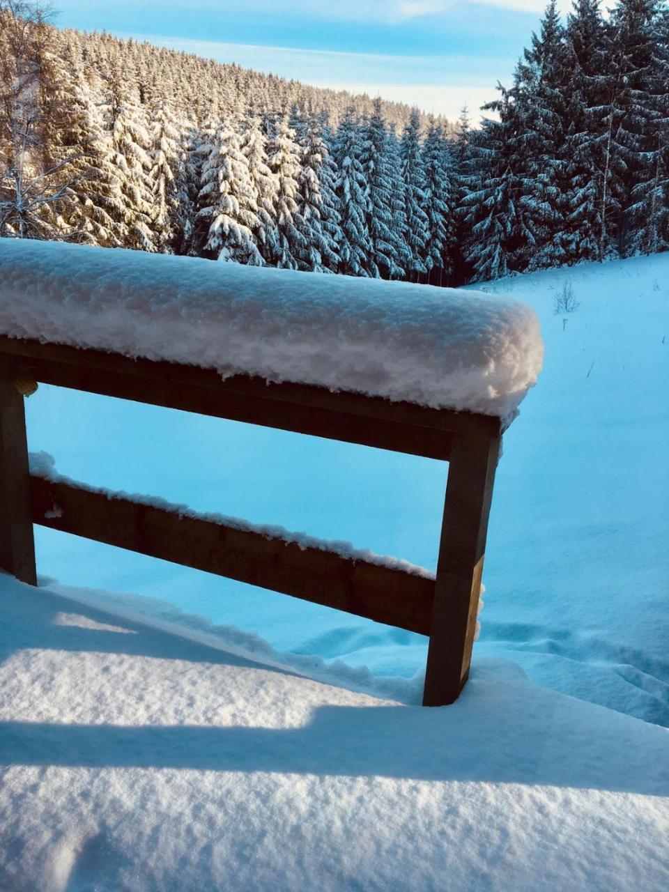 Chalet Le Forestier Bullange Bagian luar foto